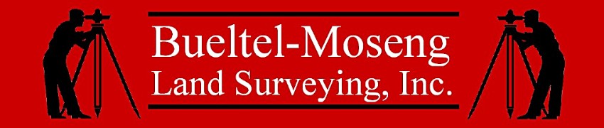 bmsurveys.com